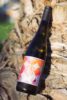 Sip & Sound Cabernet Blanc - entalkolisiert0,75l